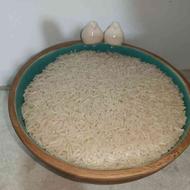 برنج شیرودی عمده