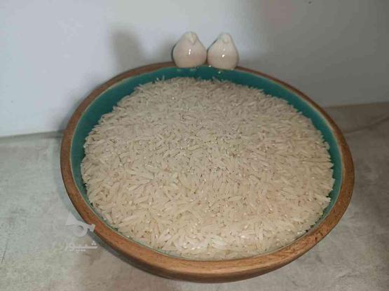 برنج شیرودی عمده در گروه خرید و فروش خدمات و کسب و کار در گیلان در شیپور-عکس1