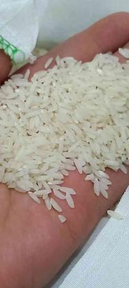 برنج پاکستانی و برنج بهنام طارم هاشمی درجه یک در گروه خرید و فروش خدمات و کسب و کار در مازندران در شیپور-عکس1