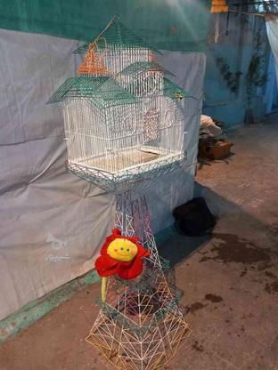 قفس طرح ایفل.پرنده در گروه خرید و فروش ورزش فرهنگ فراغت در تهران در شیپور-عکس1