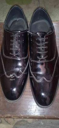 کفش ورنی در حد نو سایز41 در گروه خرید و فروش لوازم شخصی در خراسان رضوی در شیپور-عکس1