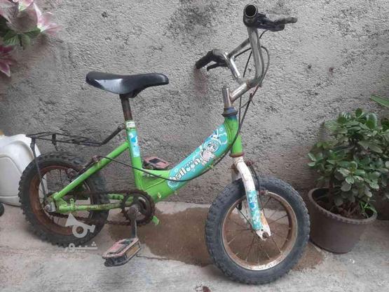 دوچرخه سایزش رو نمیدونم در گروه خرید و فروش ورزش فرهنگ فراغت در مازندران در شیپور-عکس1