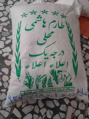 فروش برنج کشت اول و نیم دانه کشت دوم در گروه خرید و فروش خدمات و کسب و کار در مازندران در شیپور-عکس1
