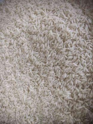 برنج طارم هاشمی کشت اول دست کشاورز در گروه خرید و فروش خدمات و کسب و کار در مازندران در شیپور-عکس1