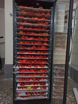 دستگاه میوه خشک کن نیمه صنعتی با مصرف انرژی کمتر در گروه خرید و فروش صنعتی، اداری و تجاری در اصفهان در شیپور-عکس1