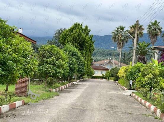 265 متر زمین شهرکی مسکونی نرسیده به رامسر ویو ابدی در گروه خرید و فروش املاک در مازندران در شیپور-عکس1