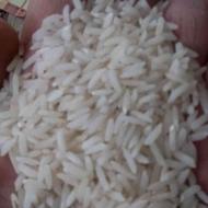 برنج محلی علی کاظمی و هاشمی