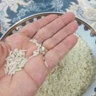 برنج خوش پخت کشت دوم امرالهی
