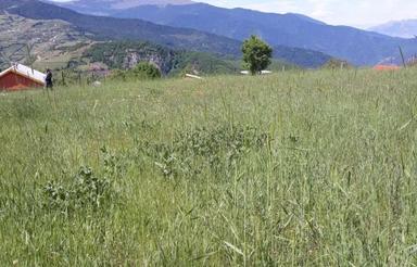 500 مترزمین مسکونی در روستای پستالکوه بالا تراز سی دشت