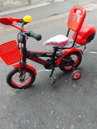 دوچرخه سایز 12 با لوازم نو برای بچه های 3 تا 5 سال در گروه خرید و فروش ورزش فرهنگ فراغت در مازندران در شیپور-عکس1
