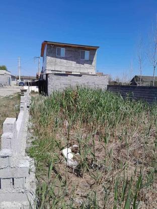 فروش زمین 200 متر در خانه دریا در گروه خرید و فروش املاک در مازندران در شیپور-عکس1
