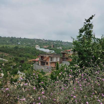 زمین مسکونی 500 متر ویو جنگلی در پایین کولا در گروه خرید و فروش املاک در مازندران در شیپور-عکس1
