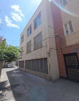 فروش خانه و کلنگی 460 متر در آرژانتین در گروه خرید و فروش املاک در تهران در شیپور-عکس1