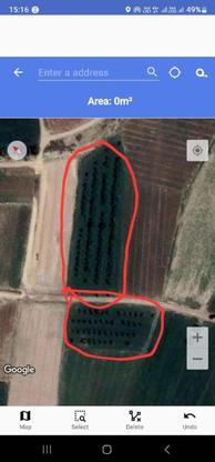 فروش باغ الوچه به متراژ 6000 متر مربع در گروه خرید و فروش املاک در آذربایجان غربی در شیپور-عکس1