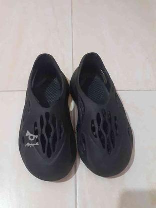 کفش ساحلی سایز 28 تا 29 در گروه خرید و فروش لوازم شخصی در مازندران در شیپور-عکس1