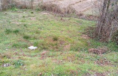 زمین مسکونی 460 متر در گرمابه رود سطلسر