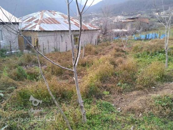 فروش زمین 400 متر در کارمزد در گروه خرید و فروش املاک در مازندران در شیپور-عکس1