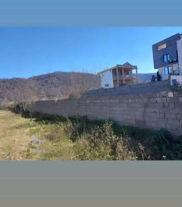 فروش زمین 170 متر محمدآباد کنارجنگل در گروه خرید و فروش املاک در مازندران در شیپور-عکس1