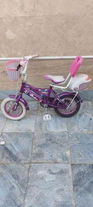 دوچرخه شماره 12 در گروه خرید و فروش ورزش فرهنگ فراغت در اصفهان در شیپور-عکس1