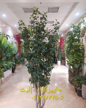 درختچه مصنوعی گل مصنوعی گیاه مصنوعی در گروه خرید و فروش لوازم خانگی در تهران در شیپور-عکس1