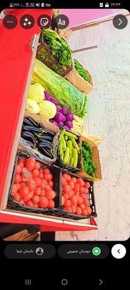 میز میوه فروشی سالم و مقاوم شیک با پارچه قرمز در گروه خرید و فروش صنعتی، اداری و تجاری در خراسان رضوی در شیپور-عکس1