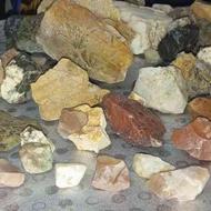 سنگ معدنی،فسیل،کلکسیون زیبا