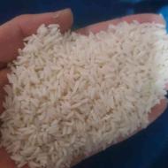 برنج طارم هاشمی