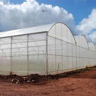 سازی گلخانه فروشی گلخانه مصالح گلخانه ساخت گلخانه