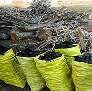 خریدار ریشه درخت برای ذغال سازی