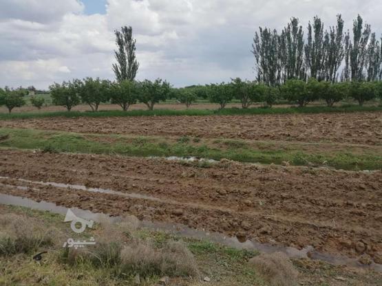 زمین کشاورزی1800متر در گروه خرید و فروش املاک در آذربایجان غربی در شیپور-عکس1