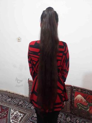موی طبیعی بدون رنگ و حنا در گروه خرید و فروش لوازم شخصی در خراسان جنوبی در شیپور-عکس1