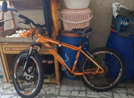 دوچرخه گالانت تمیز و عالی در گروه خرید و فروش ورزش فرهنگ فراغت در مازندران در شیپور-عکس1