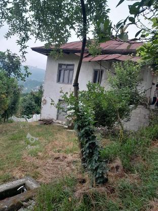 زمین و خانه، دهستان دالخانی در گروه خرید و فروش املاک در مازندران در شیپور-عکس1