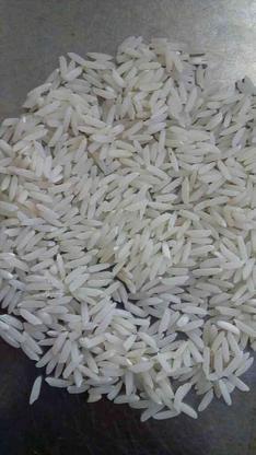 برنج هاشمی خالص در گروه خرید و فروش خدمات و کسب و کار در گیلان در شیپور-عکس1