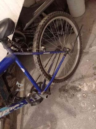 دوچرخه سالم سایز 24 در گروه خرید و فروش ورزش فرهنگ فراغت در خراسان رضوی در شیپور-عکس1