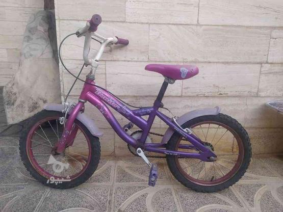دوچرخه دخترانه سایز16 در گروه خرید و فروش ورزش فرهنگ فراغت در آذربایجان غربی در شیپور-عکس1