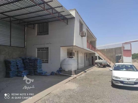 کارگاه دو طبقه تمیز هزار متری در گروه خرید و فروش املاک در خوزستان در شیپور-عکس1