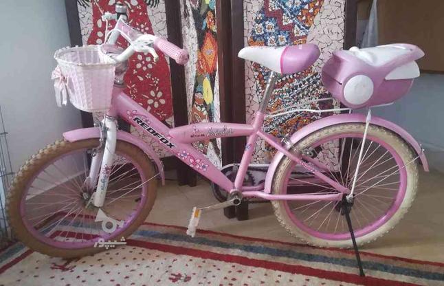 دوچرخه سایز 20 برند RED FOX در گروه خرید و فروش ورزش فرهنگ فراغت در فارس در شیپور-عکس1