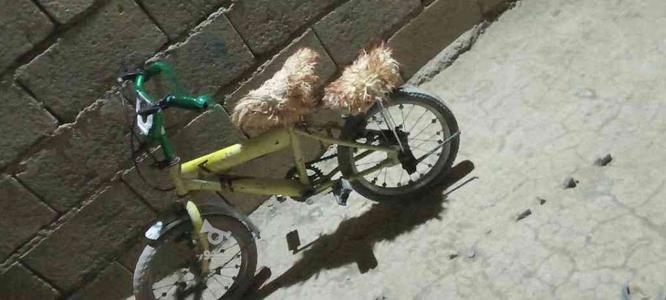 دوچرخه سالم در گروه خرید و فروش ورزش فرهنگ فراغت در سیستان و بلوچستان در شیپور-عکس1