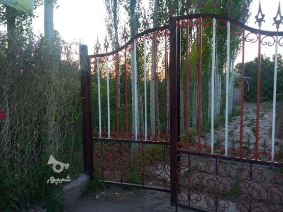 5300متر باغ میوه در گروه خرید و فروش املاک در زنجان در شیپور-عکس1
