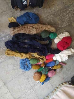 نخ قالی درجه یک پشمی شسته شده در گروه خرید و فروش ورزش فرهنگ فراغت در همدان در شیپور-عکس1