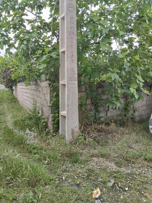 زمین،مسکونی به متراژ 300متر در گروه خرید و فروش املاک در مازندران در شیپور-عکس1