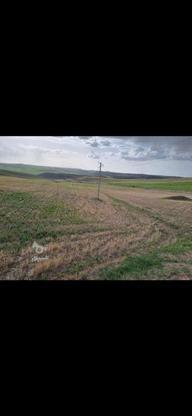 فروش زمین کشاورزی دیم دارای برق کشاورزی در گروه خرید و فروش املاک در آذربایجان شرقی در شیپور-عکس1