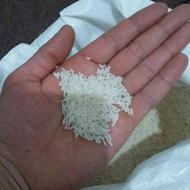 فروش برنج طارم هاشمی اصیل شمال کشت خودم