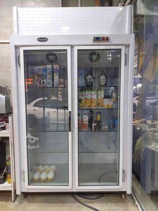 یخچال فروشگاهی-موتور دانفوس -بدون برفک در گروه خرید و فروش صنعتی، اداری و تجاری در گیلان در شیپور-عکس1