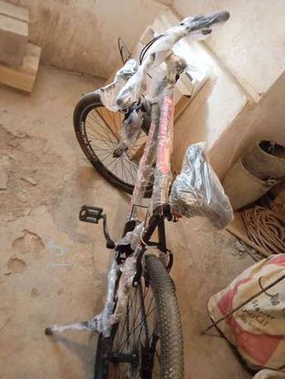 دوچرخه تمیز نو نو ضمانت در گروه خرید و فروش ورزش فرهنگ فراغت در خراسان رضوی در شیپور-عکس1