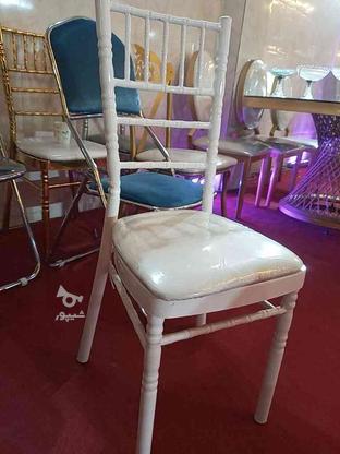 صندلی تالاری مدل شیواری رنگ سفید در گروه خرید و فروش صنعتی، اداری و تجاری در اردبیل در شیپور-عکس1