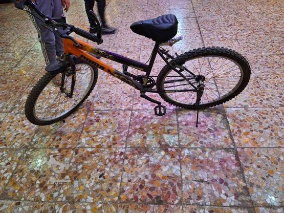 دوچرخه پوما بدنه اهن در گروه خرید و فروش ورزش فرهنگ فراغت در تهران در شیپور-عکس1