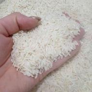 برنج گیلان