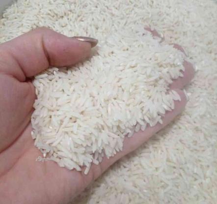 برنج گیلان در گروه خرید و فروش خدمات و کسب و کار در البرز در شیپور-عکس1